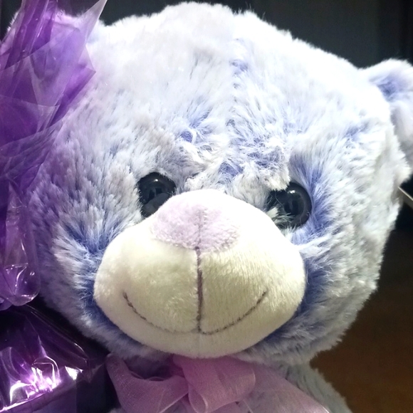 New Mother's Day Gift w/ Cute Teddy PLEASE BUY BY THURSDAY!! - Picture 3 of 11